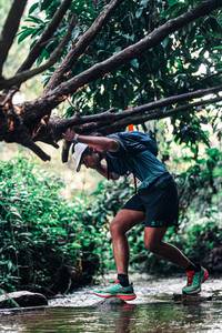 BIB: 
                            <button type="button" onclick="openModal(25399654)" class="btn btn-primary btn-sm float-right btn-popup" data-toggle="modal" data-target=".modal-high-quality">
                        <i class="fas fa-shopping-cart"></i> Add to Cart
                    </button>
                                            <button type="button" onclick="isThisMe(25399654, true)" class="btn btn-success btn-sm float-right btn-popup btn-isme hidden" data-toggle="tooltip" data-placement="bottom" title="นี่คือรูปของคุณใช่ไหม คลิกที่นี่เพื่อเอาเข้าอัลบั้ม">
                        <i class="fas fa-plus"></i> Add to album
                    </button>
                    <button type="button" onclick="isThisMe(25399654, false)" class="btn btn-warning btn-sm float-right btn-popup btn-isnotme hidden">
                        <i class="fas fa-ban"></i> Remove from album
                    </button>